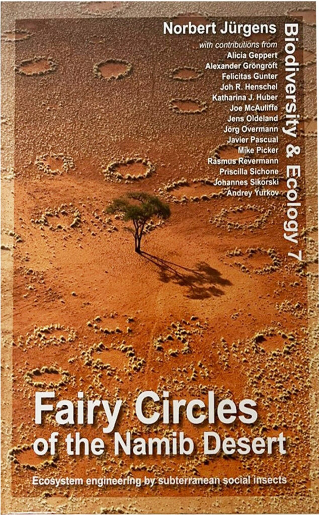 Focus on termites in fairy circle research - Lifestyle - The Namibian